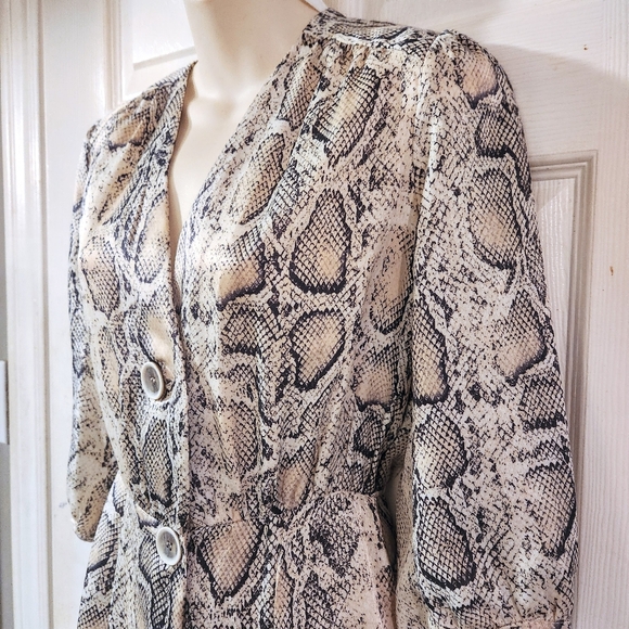 ZARA animal print dress - Picture 3 of 7